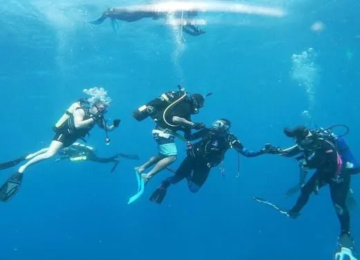 Yardie Divers