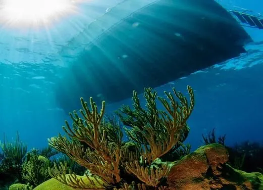 Blue Water Divers & Watersports