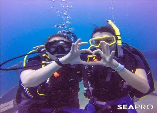 SeaPro Divers