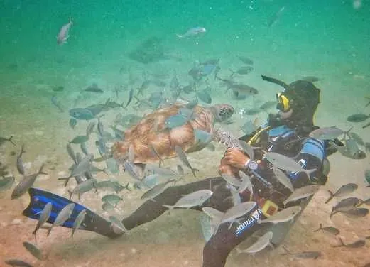 West Side Scuba Centre