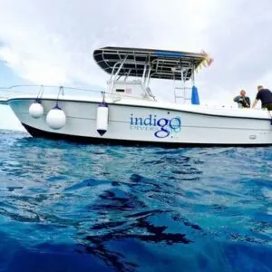 Indigo Divers Grand Cayman