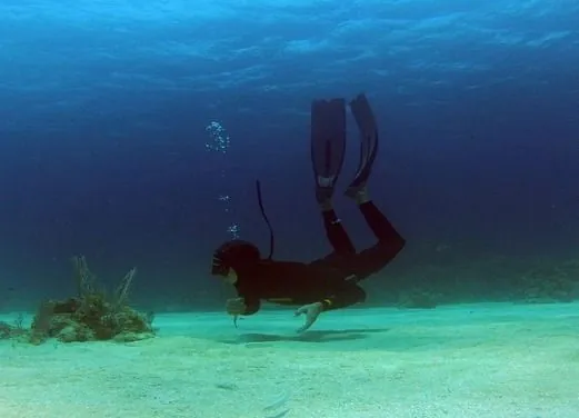 West Bay Divers