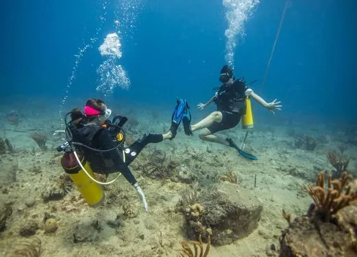 Sunchaser Scuba