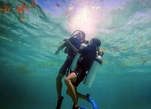 Dos Tiburones Dive Shop