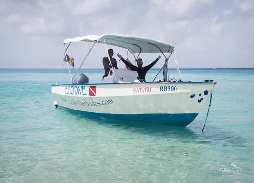 Eco Dive Barbados