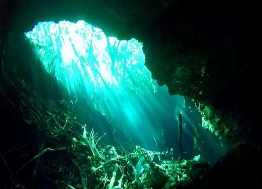 Dive Shop Mexico