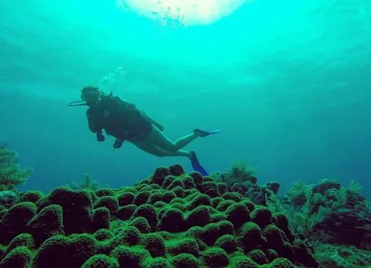 Corn Island Dive Center