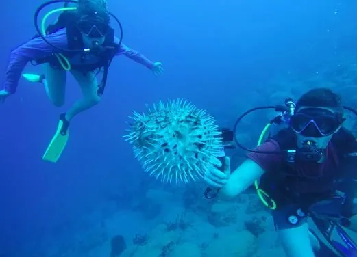 Action Adventure Divers