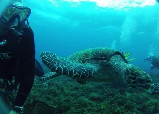 Sainte Luce Kawan Plongee