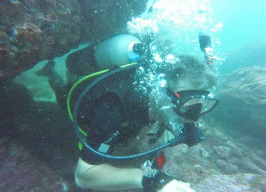 Pacific Paradise Divers
