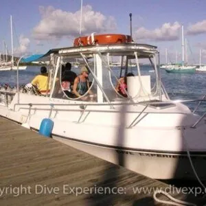 Dive Experience