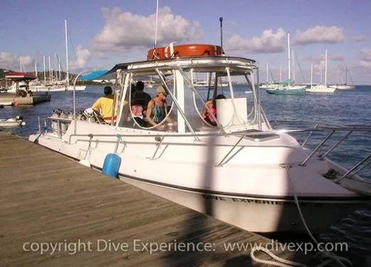 Dive Experience