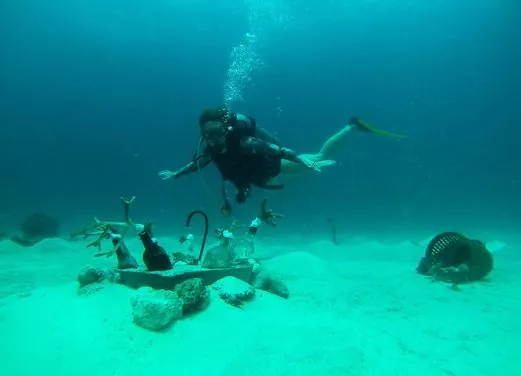 Dolphin Dive