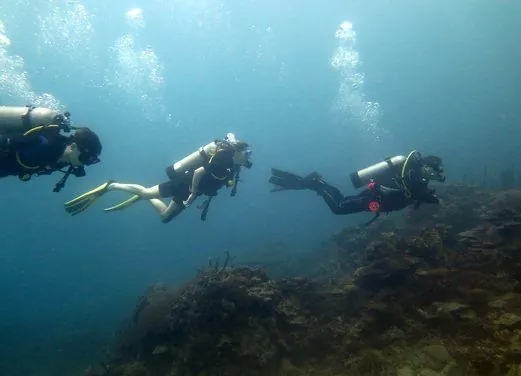Paraiso Dive Cartagena