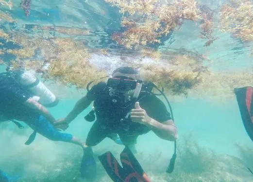 Yardie Divers
