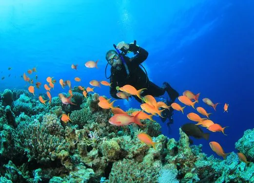 Scuba Shack