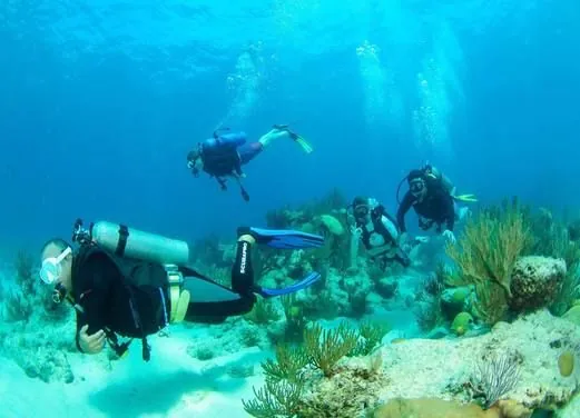 Blue Water Divers & Watersports