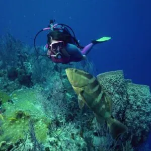 Frontier Divers
