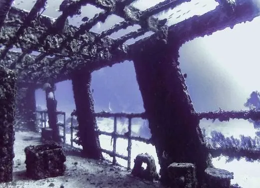 Mexico Divers