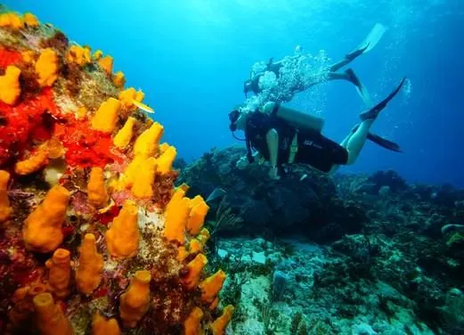 Scuba Total Cancun