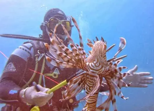 West Side Scuba Centre