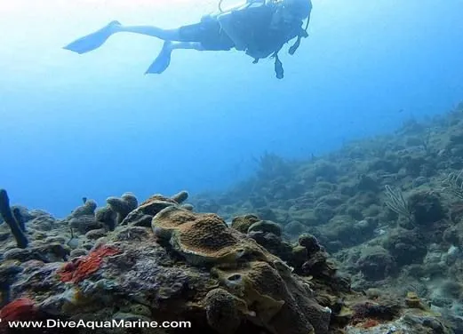 Aqua Marine Dive Shop