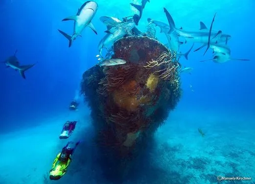 Stuart Cove’s Dive Bahamas
