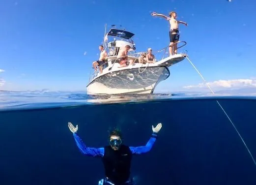 Marina Blue Haiti