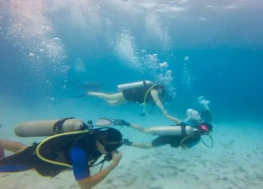Aquarius Dive Club