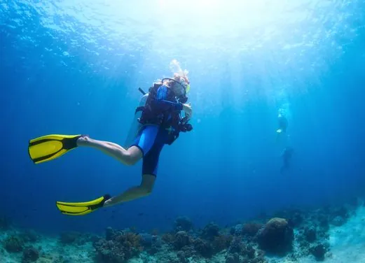 Serial Divers