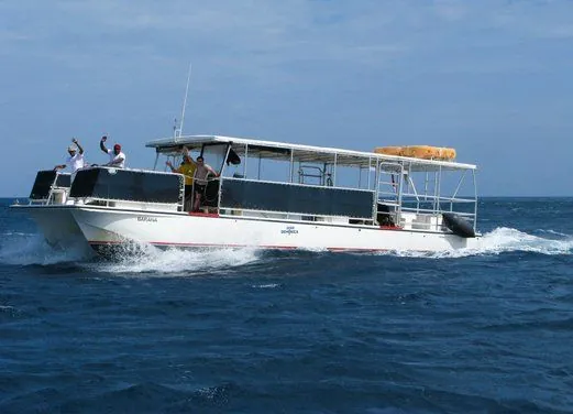 Dive Dominica