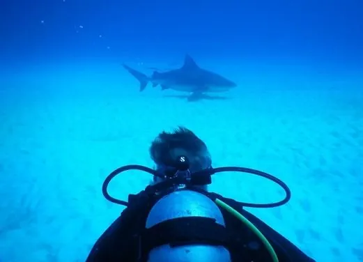 Dive Shop Mexico