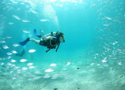 Scuba Lodge and Dive Center Pietermaai