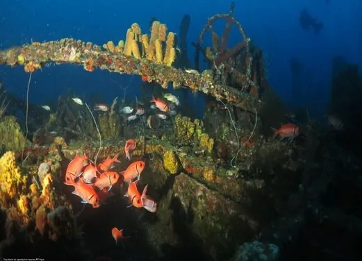 Espace Plongee Martinique