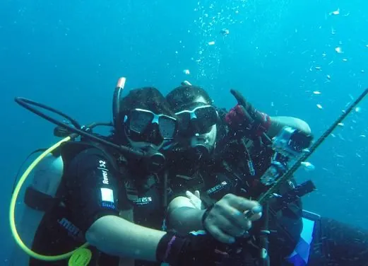 Pacific Paradise Divers
