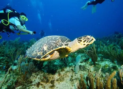 Scuba Total Cancun