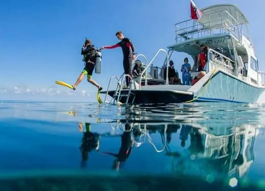 Blue Water Divers & Watersports