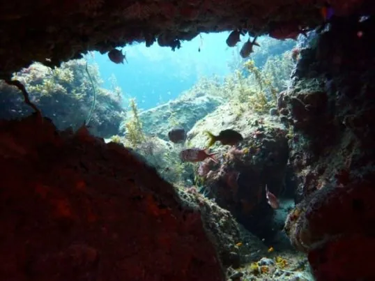 ABC Dive Plongée Martinique