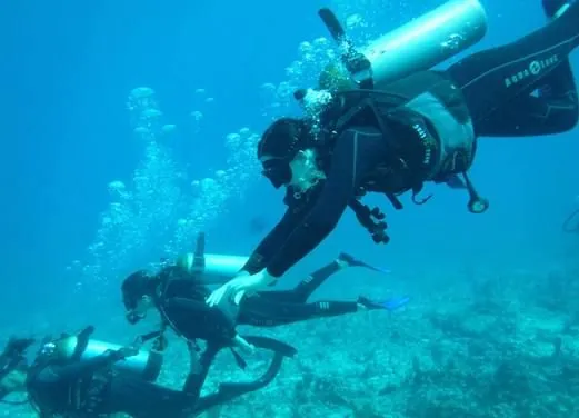 Mexico Divers