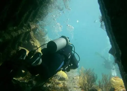 Fantasea Dive and Watersports