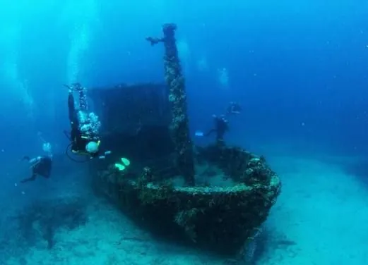 Scuba Safaris