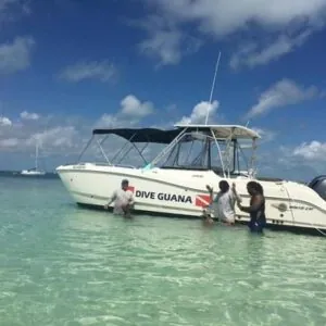 Dive Guana