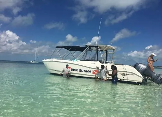 Dive Guana