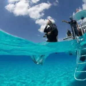Stuart Cove’s Dive Bahamas