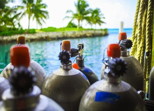 Stuart Cove’s Dive Bahamas