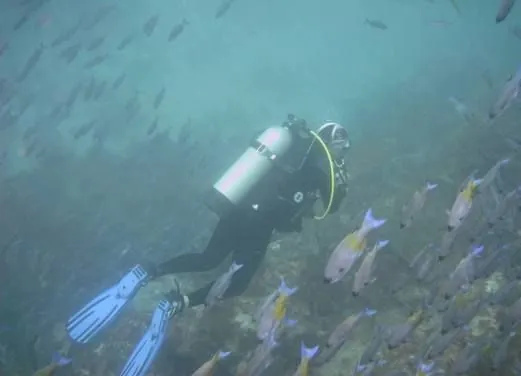 Serenity Dive