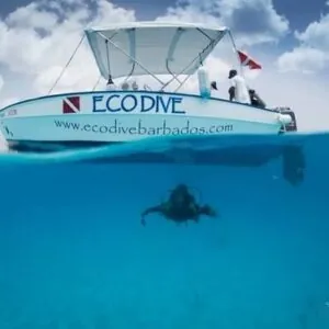 Eco Dive Barbados