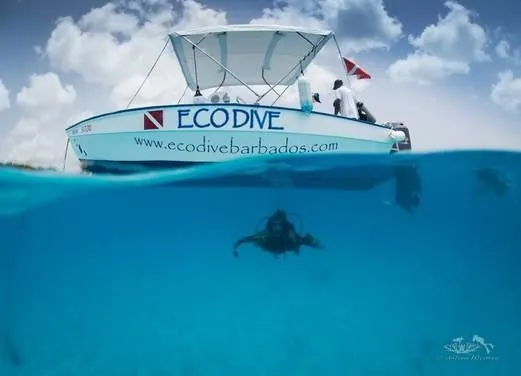 Eco Dive Barbados