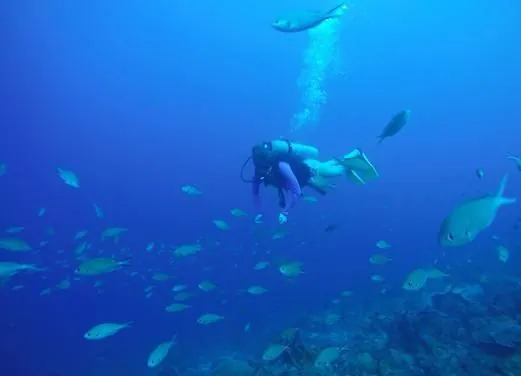 Action Adventure Divers