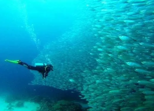 Scuba Lodge and Dive Center Pietermaai